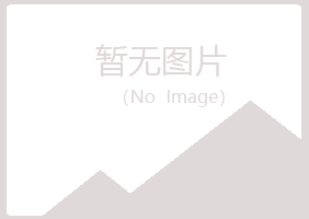 兰山区女孩媒体有限公司